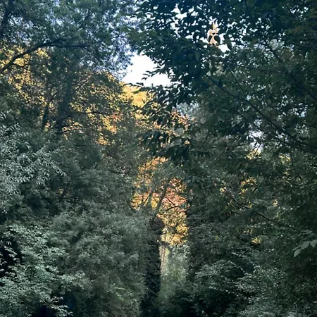 I Tigli Сasa de vacaciones